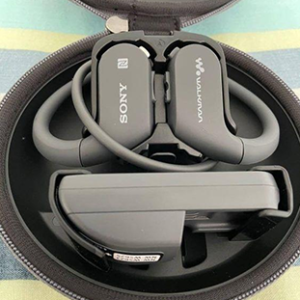 Wireless Earbuds Sony